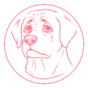 Labrador