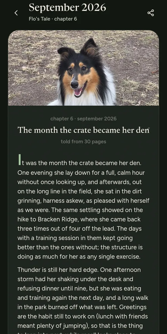 A chapter of Flo’s Tale: one month’s story, written from her journal