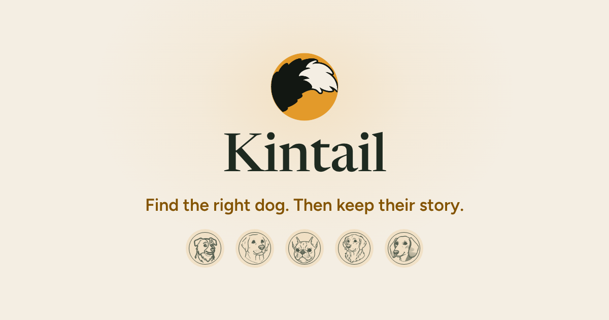 American Bully vs American Staffordshire Terrier · Kintail